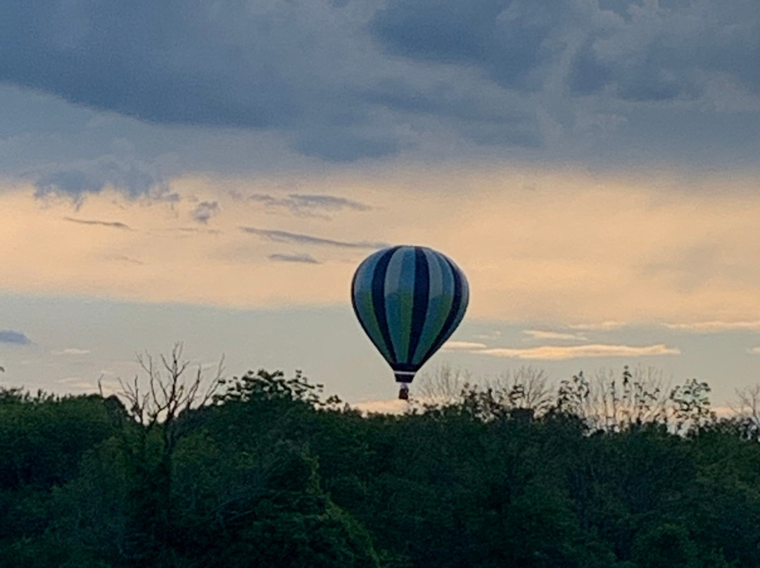 Alexandria Balloon Flights景点图片