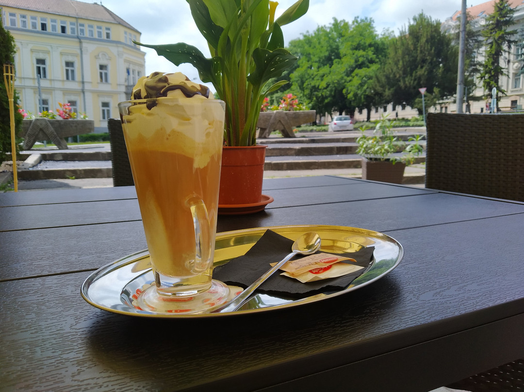 Hotel Villa Volgy主图