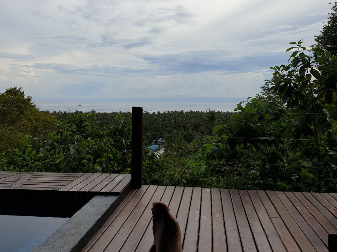 帕里斯奢华精品别墅主图