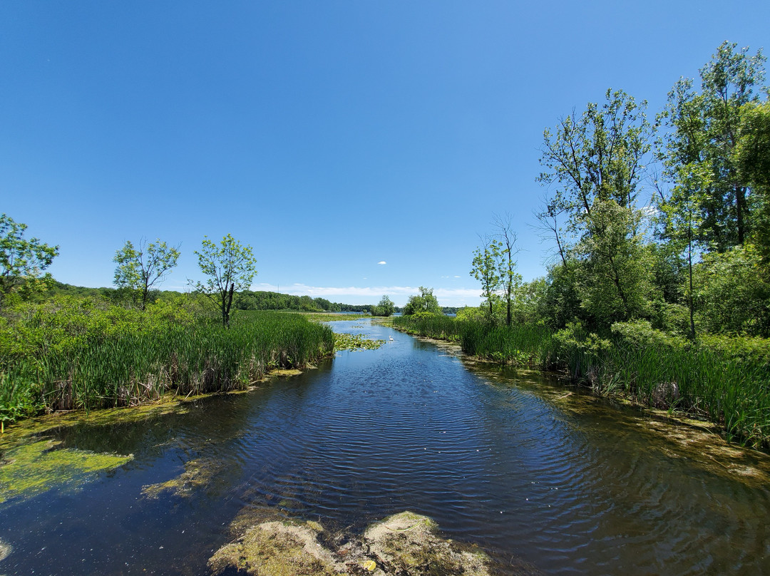 John Collins Park-East Grand Rapids必去景点