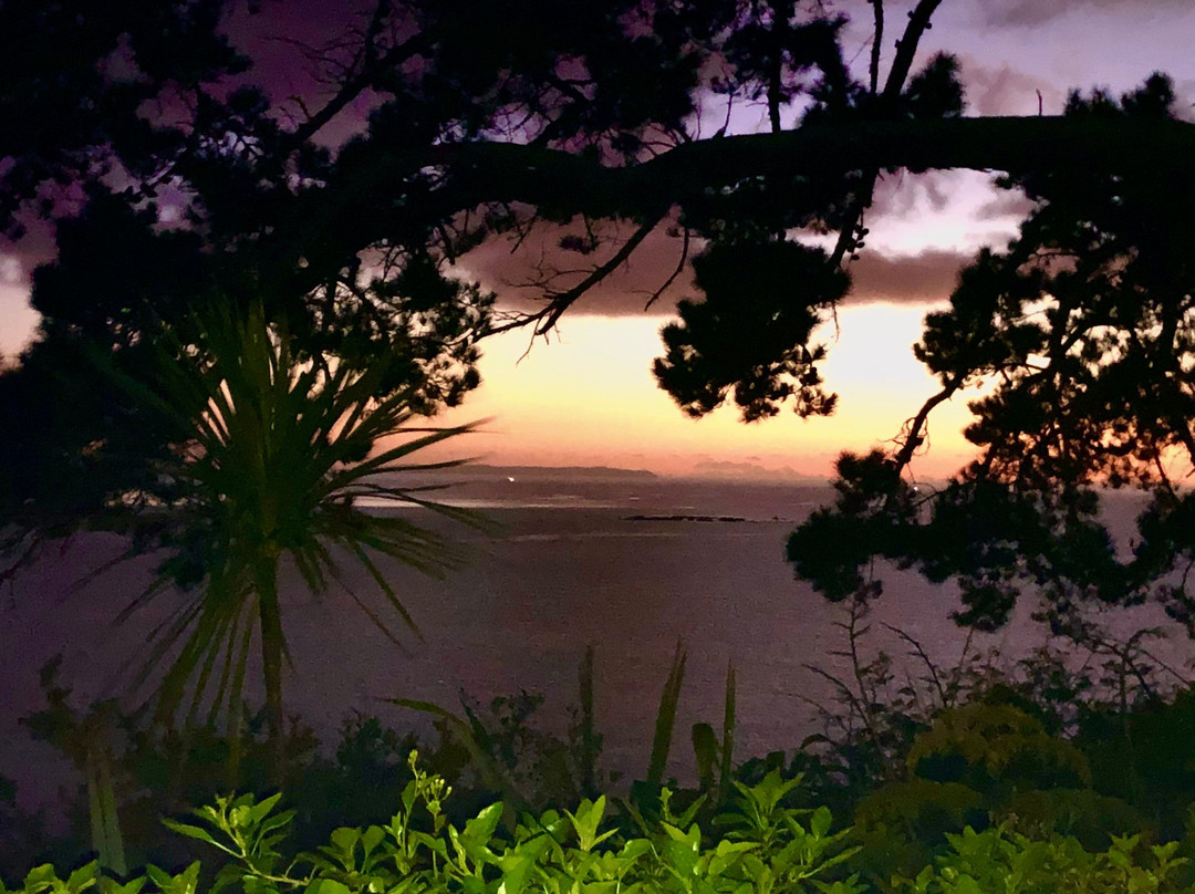 Browns Bay Beach景点图片