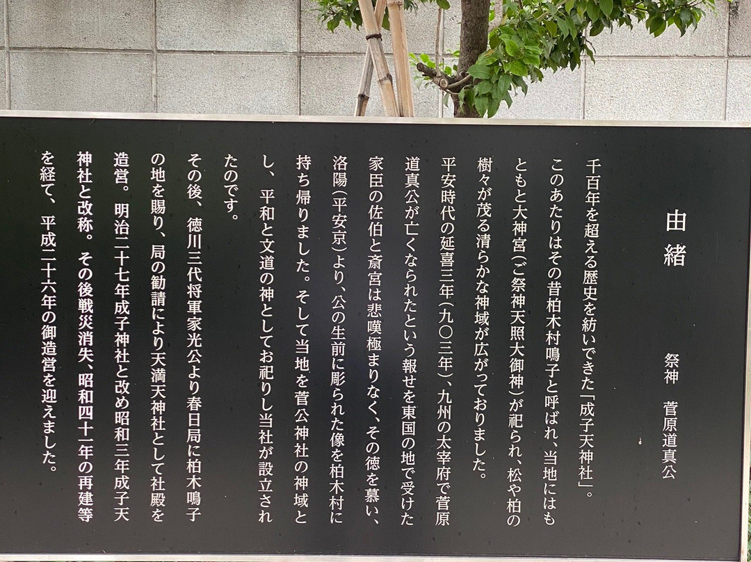 Narukoten Shrine-Nishishinjuku必去景点