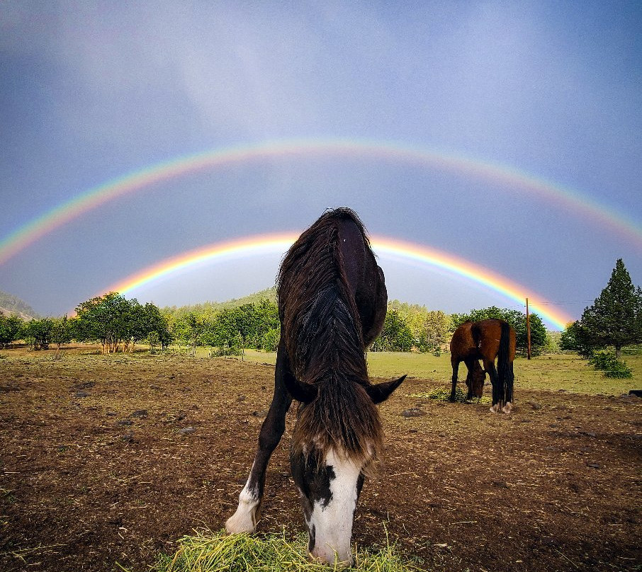 Iron Gate Ranch-Hornbrook必去景点