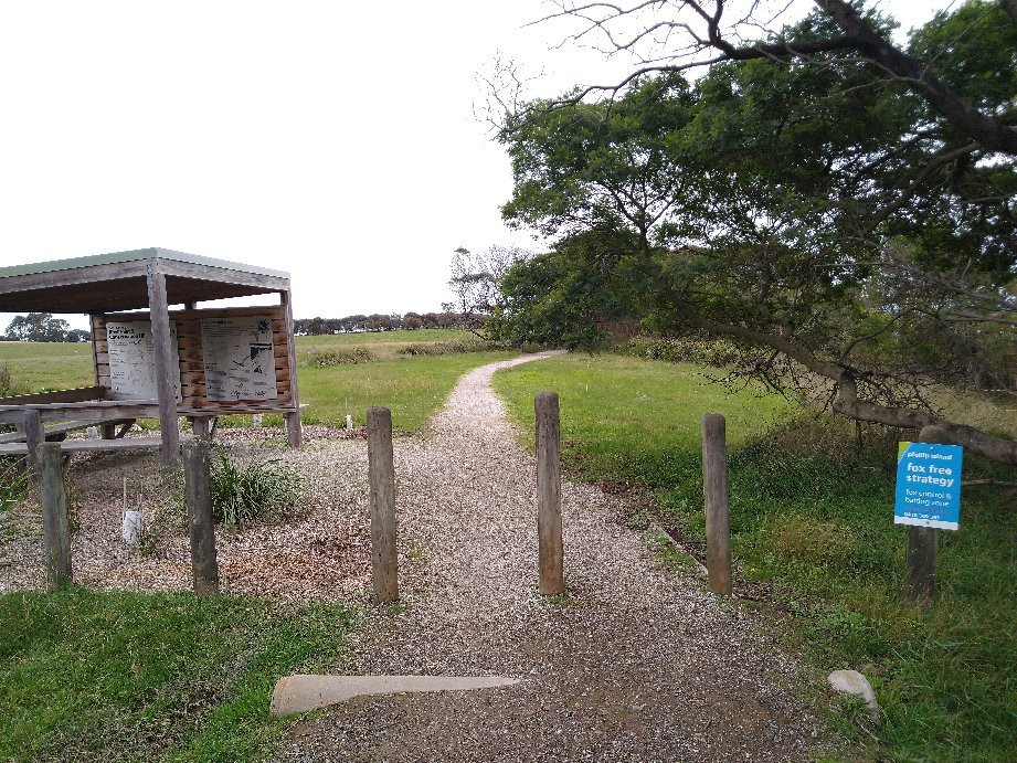 Rhyll Inlet State Wildlife Reserve景点图片