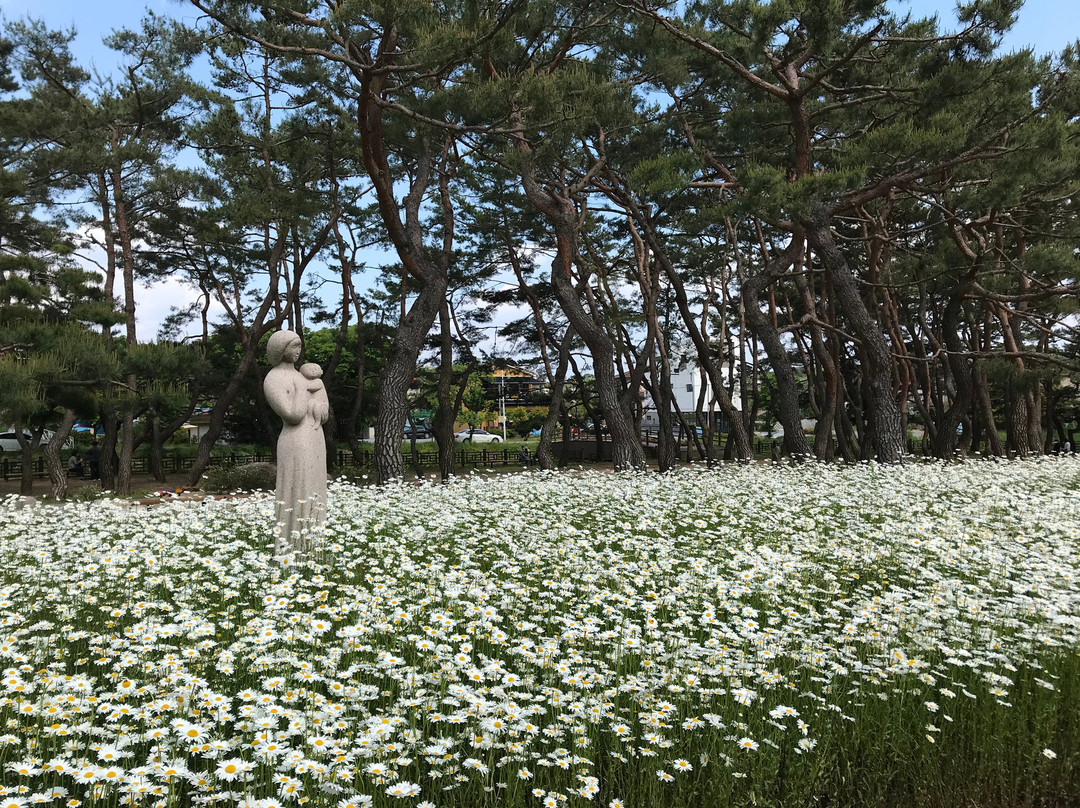Uirimji Lake-堤川市必去景点