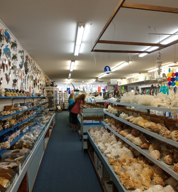 Venice MainStreet-威尼斯必去景点