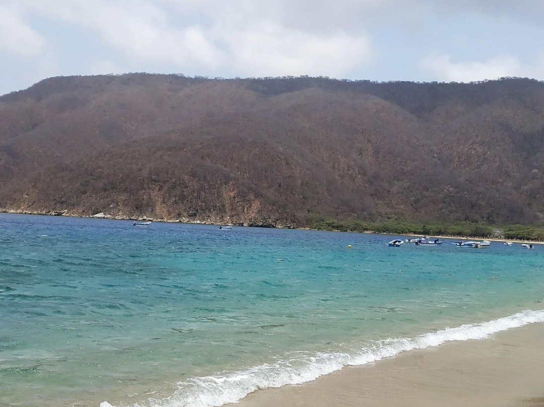 Bahía Concha景点图片