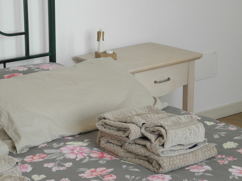 里拉含羞草民宿主图