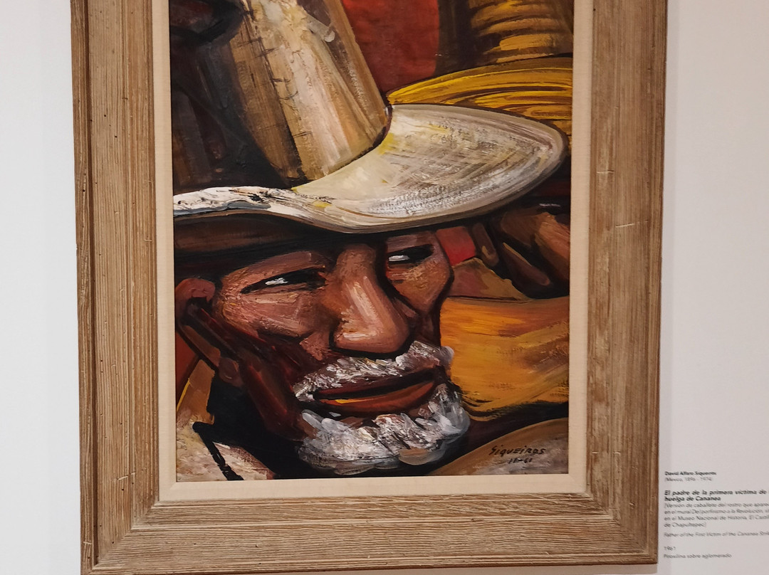 索马亚博物馆-墨西哥城必去景点