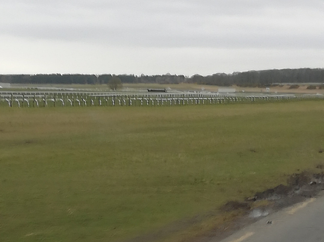 The Curragh Racecourse-基尔代尔郡必去景点