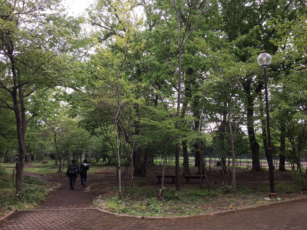 Hagiyama Park