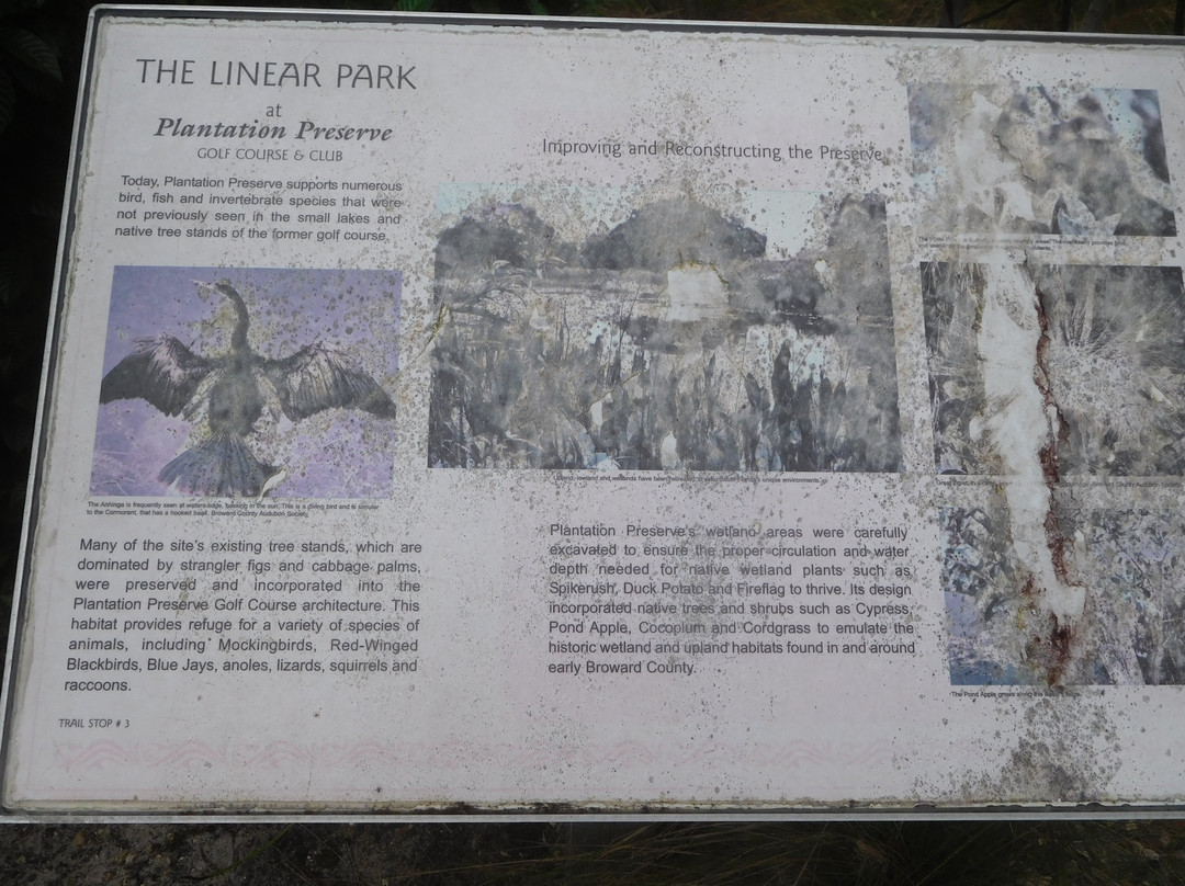 Plantation Preserve Linear Trail-种植园必去景点