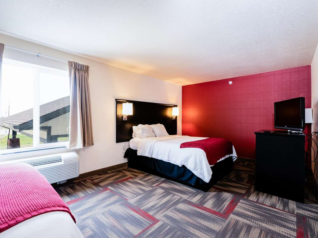 Black Gold Suites主图