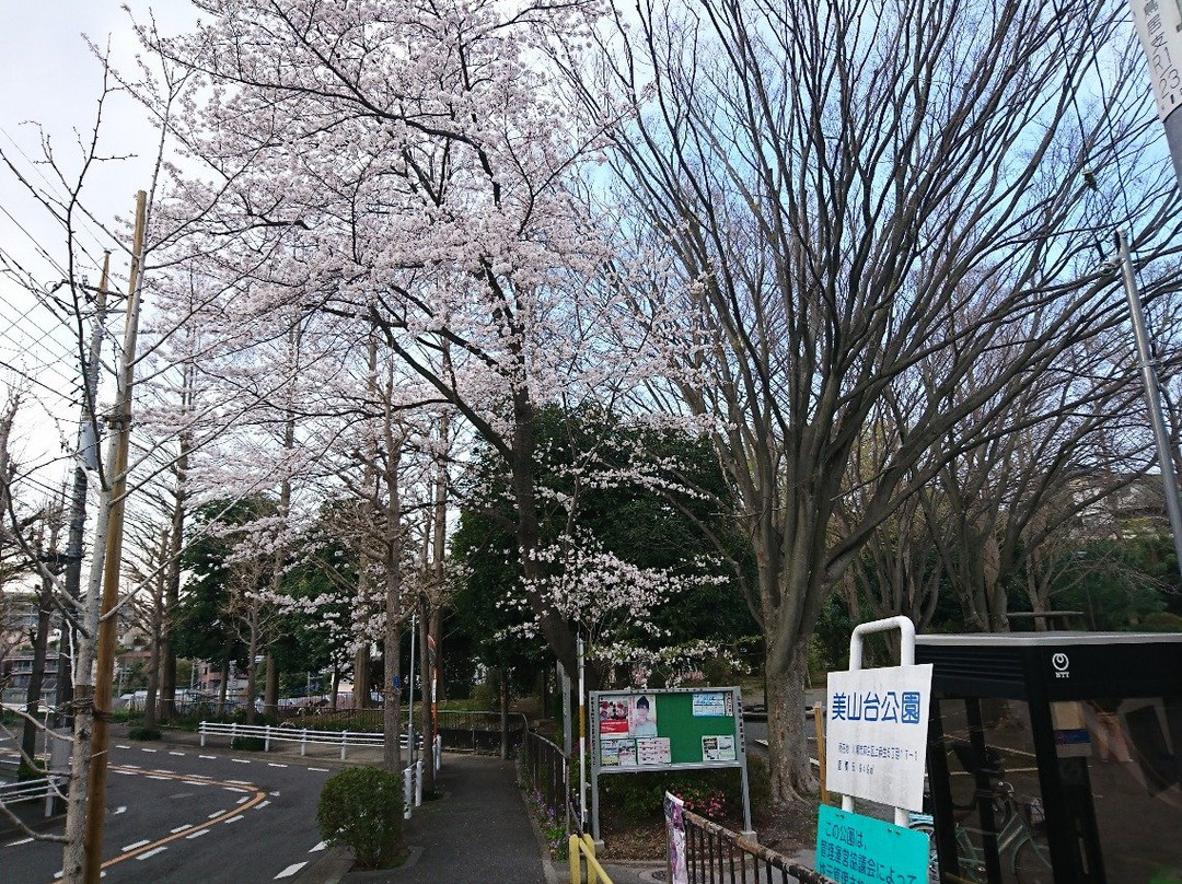 Miyamadai Park景点图片