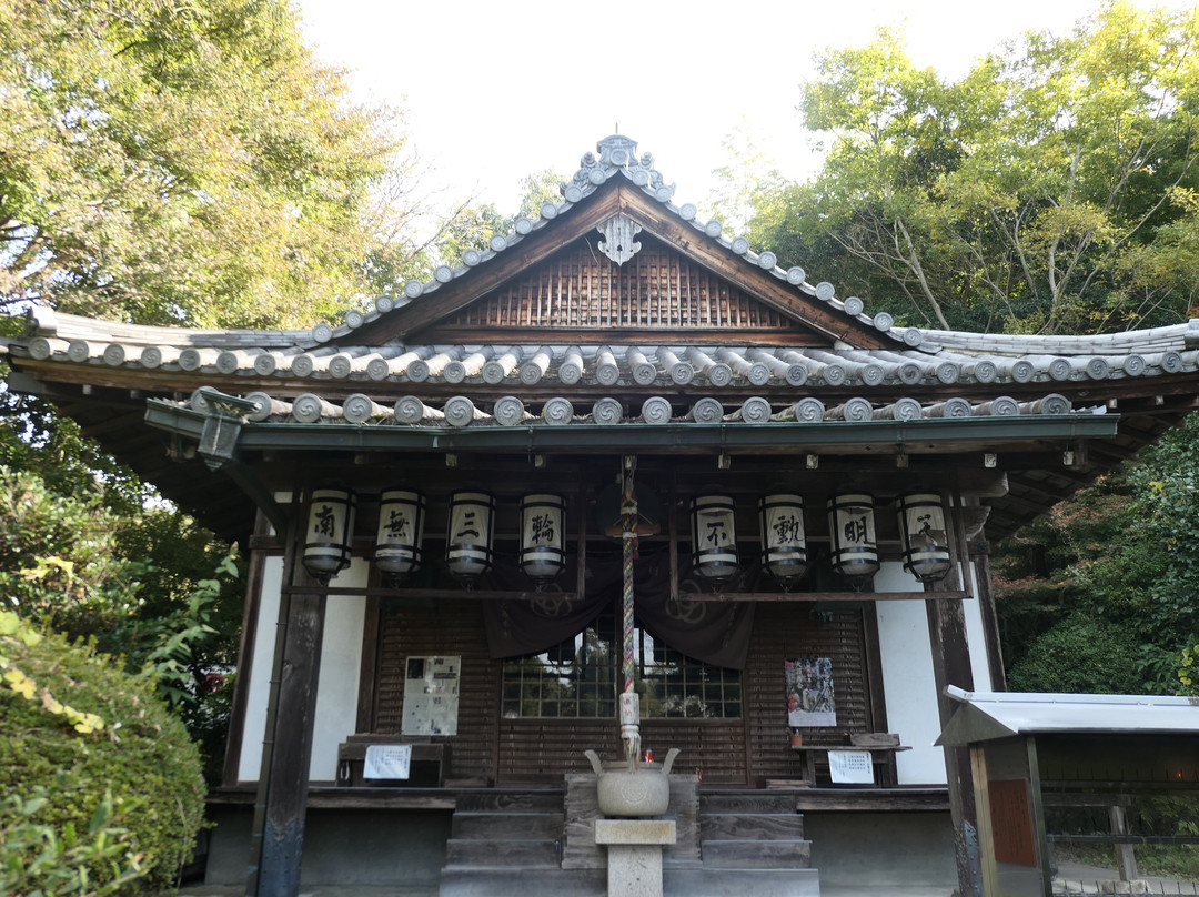 Byodo-ji Temple-樱井市必去景点