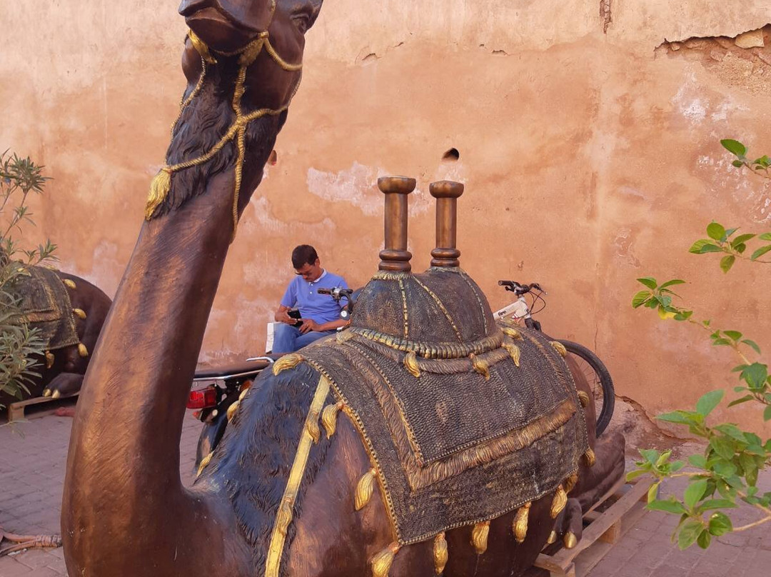 Zagora Desert Travel景点图片