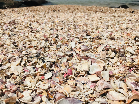 Ubatuba Tour-乌巴图巴必去景点