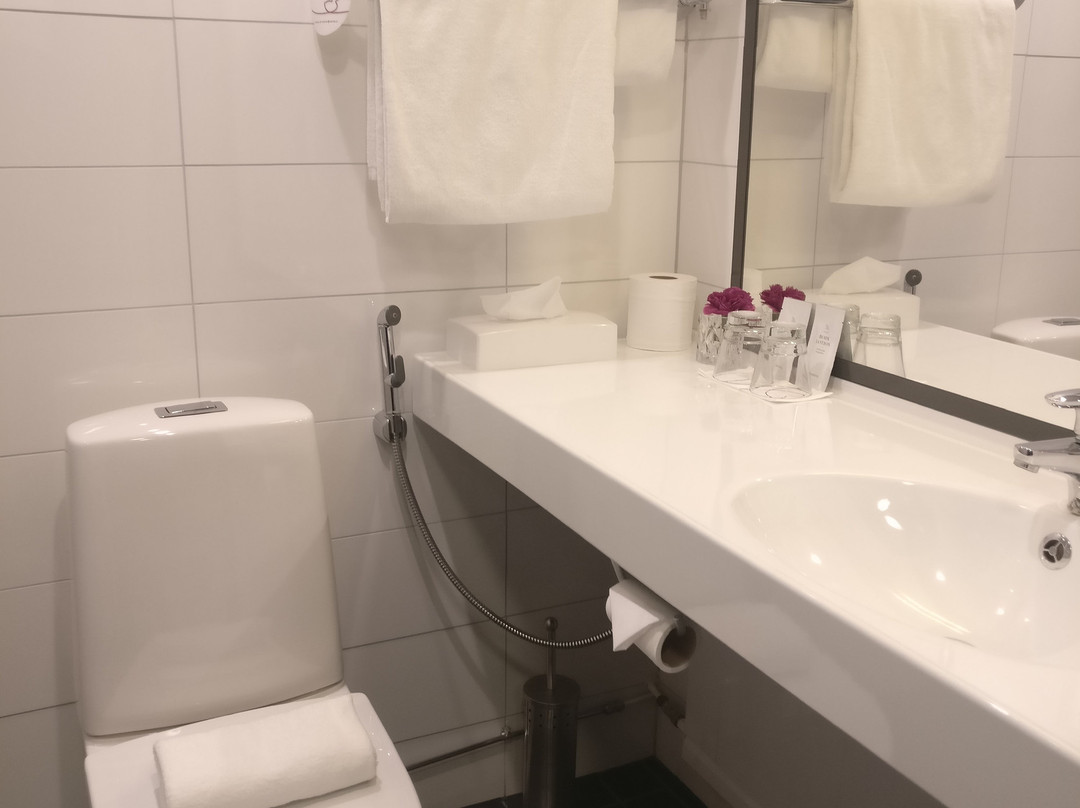 Original Sokos Hotel Vaakuna Hameenlinna主图