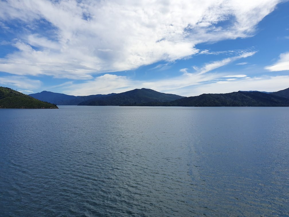 Picton Sound景点图片
