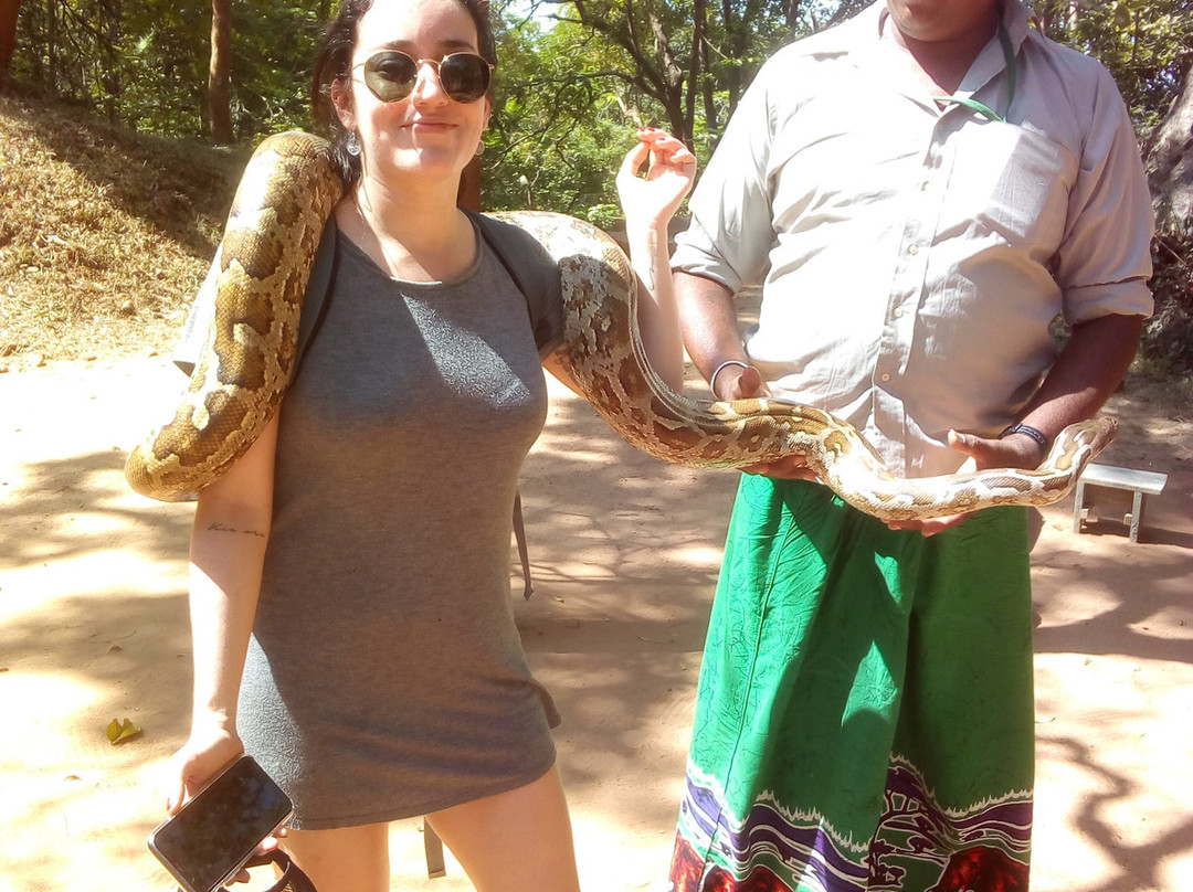 Toursrilankawb-埃勒必去景点