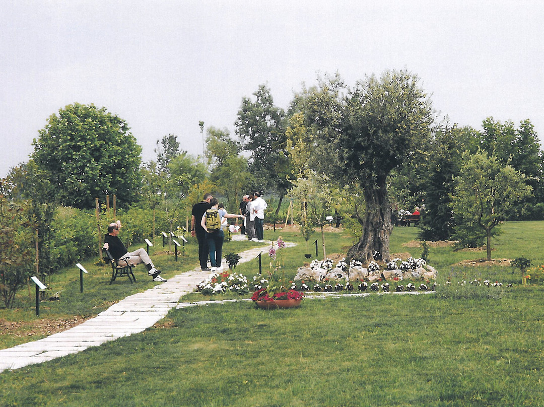 Il Giardino di Maria景点图片