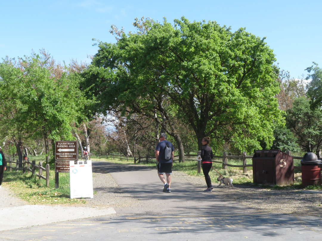 Sycamore Grove Regional Park-利佛摩必去景点