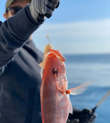 Sea Love Charters-Saint Augustine Beach必去景点