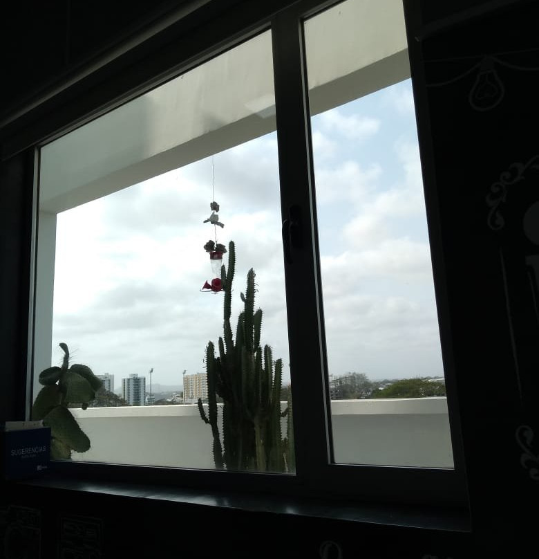 Hausen Hotel Suites主图