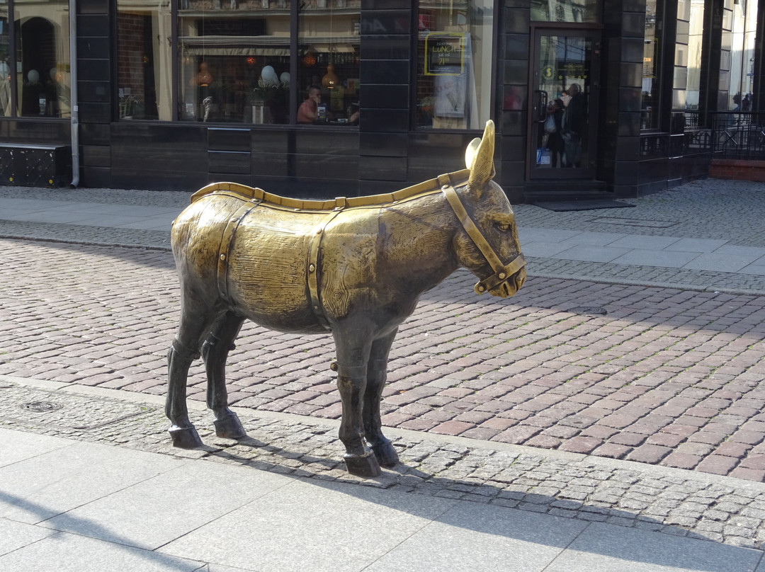 Monument to Donkey景点图片