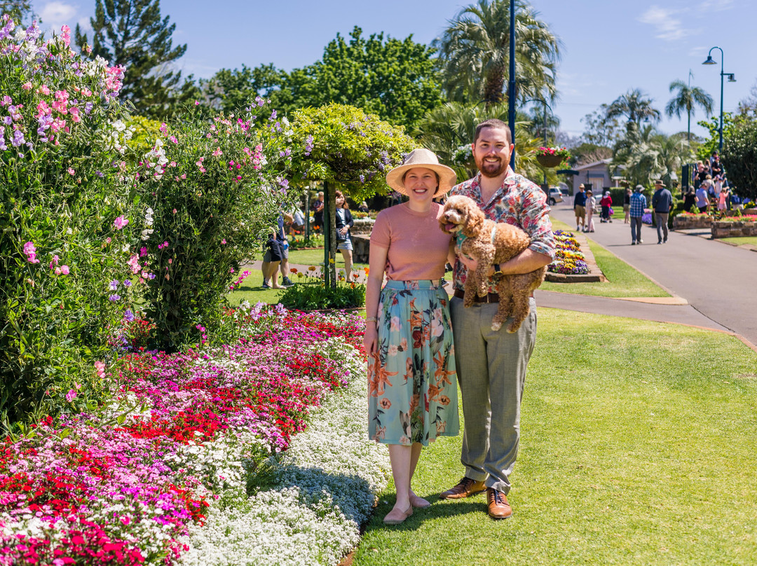 图沃柏旅游景点-Laurel Bank Park