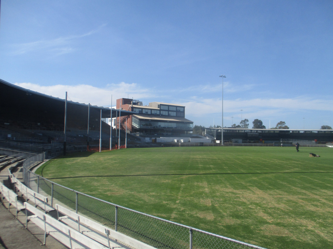 Victoria Park-科灵伍德必去景点