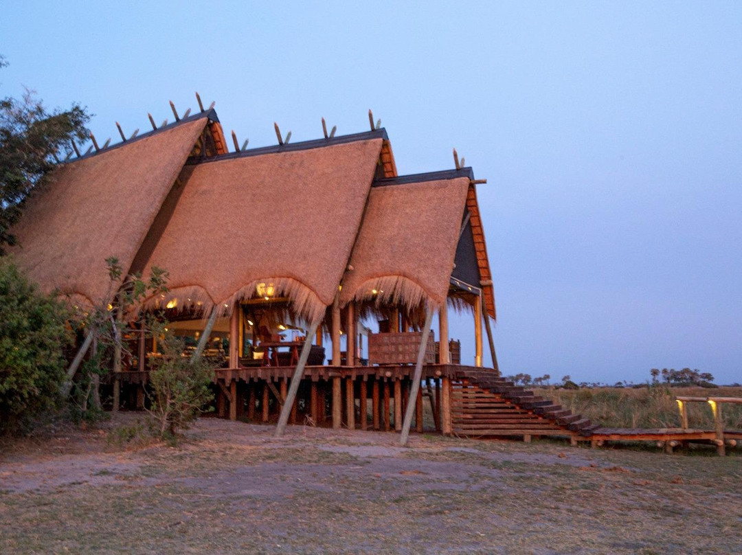 The African Wild景点图片