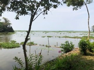 Coconut Lagoon, CGH Earth主图