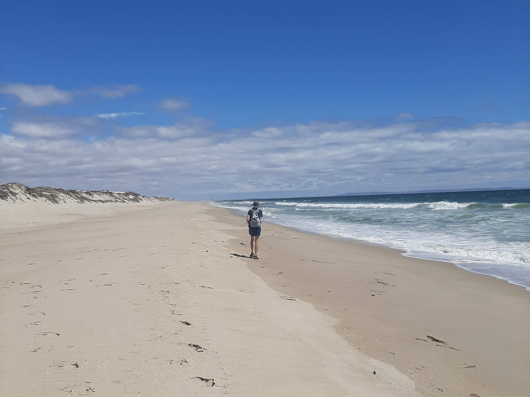 Rocherpan Nature Reserve-Velddrif必去景点