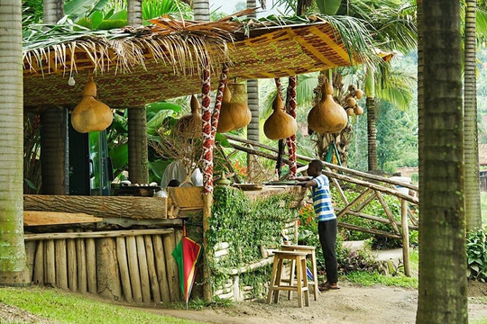 DREAM RWANDA EXPERIENCES-Ruhengeri必去景点