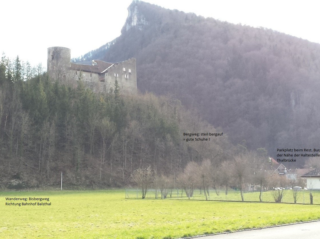 Schloss & Museum Alt Falkenstein-Balsthal必去景点