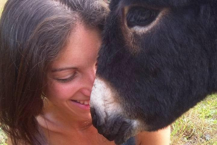 Azienda Agricola Il Melograno -Settimo Rottaro--Settimo Rottaro必去景点