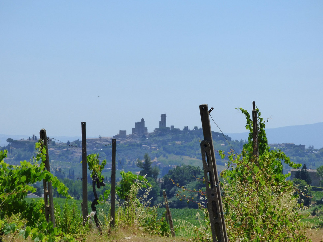 Azienda Agricola San Quirico景点图片