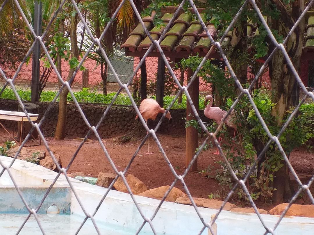 Parque Zoológico De Goiânia-戈亚尼亚必去景点