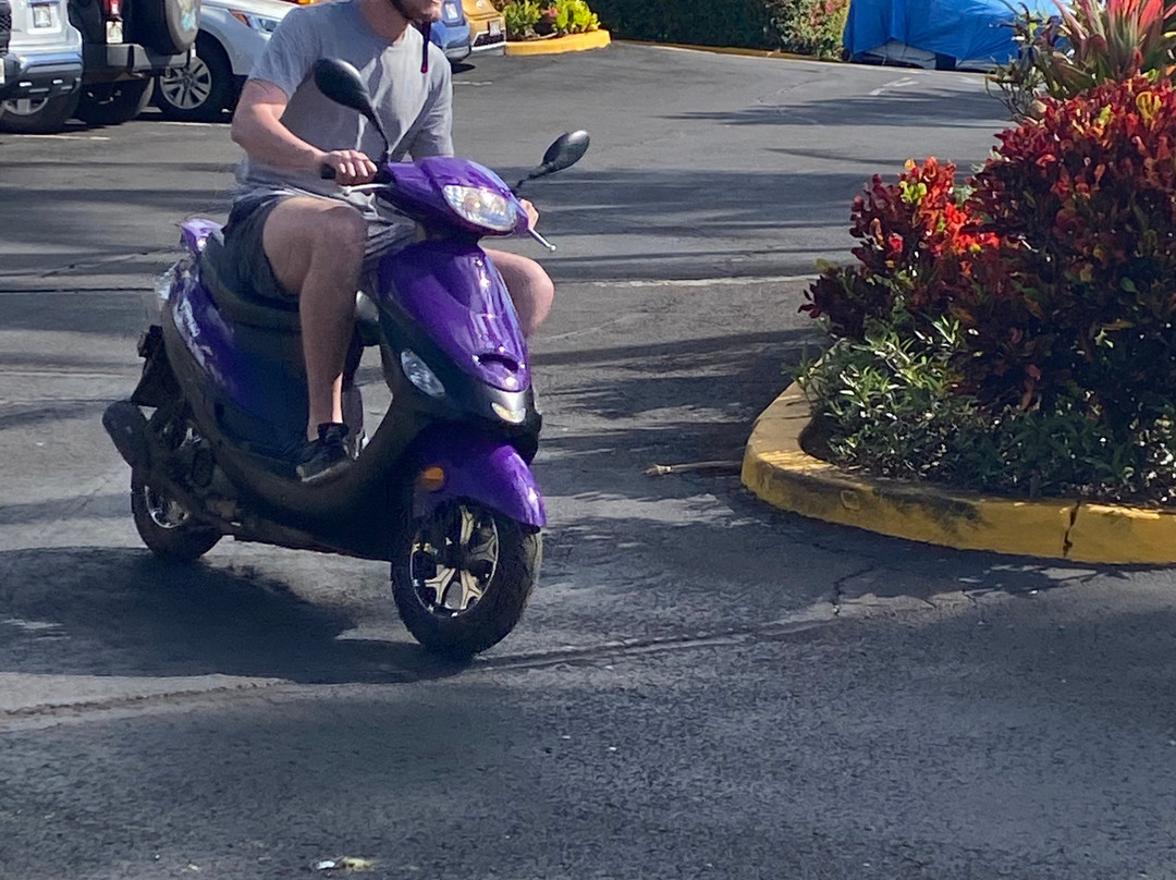 Kauai Mopeds-利胡埃必去景点