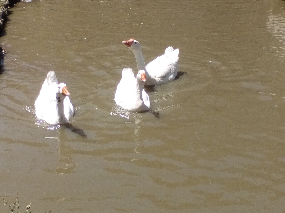 Jardin Botanico de Merida-梅里达市必去景点