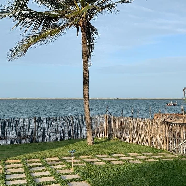 Magic Winds Kite House主图