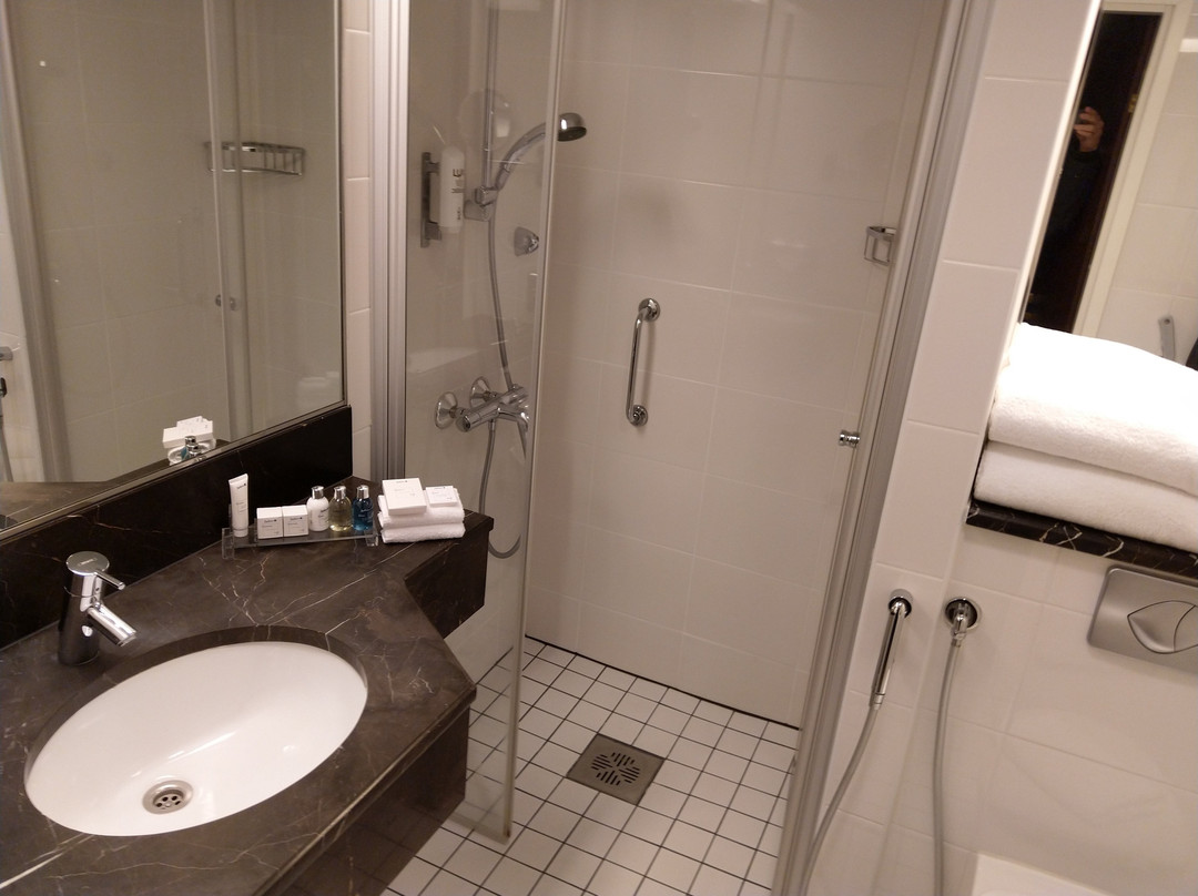 Radisson Blu Marina Palace Hotel, Turku主图