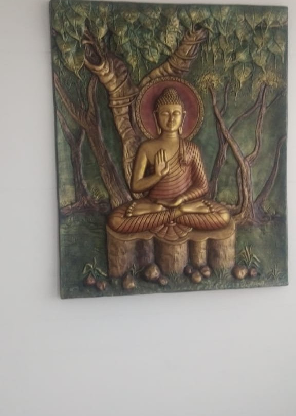 Meghavi Wellness Spa景点图片