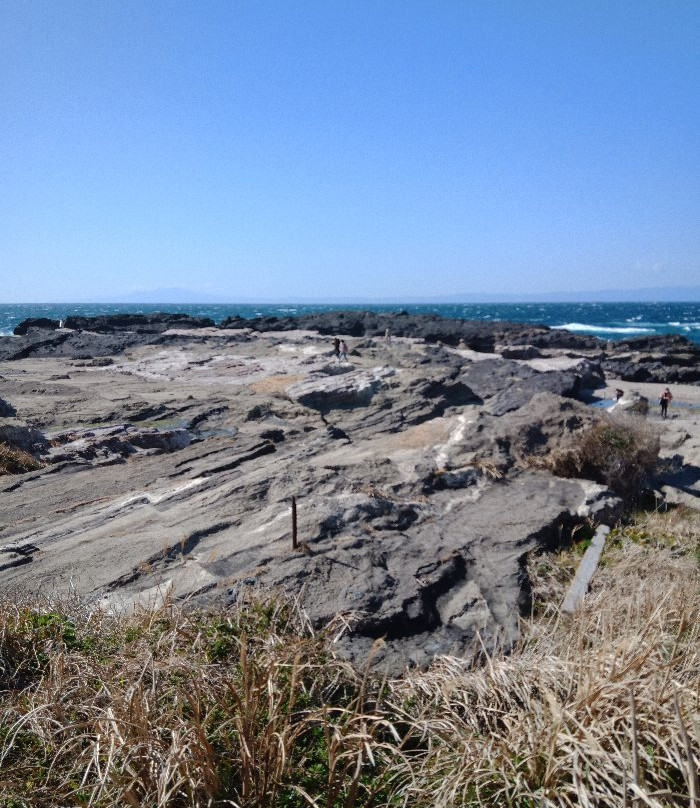 Nagatorozaki-三浦市必去景点