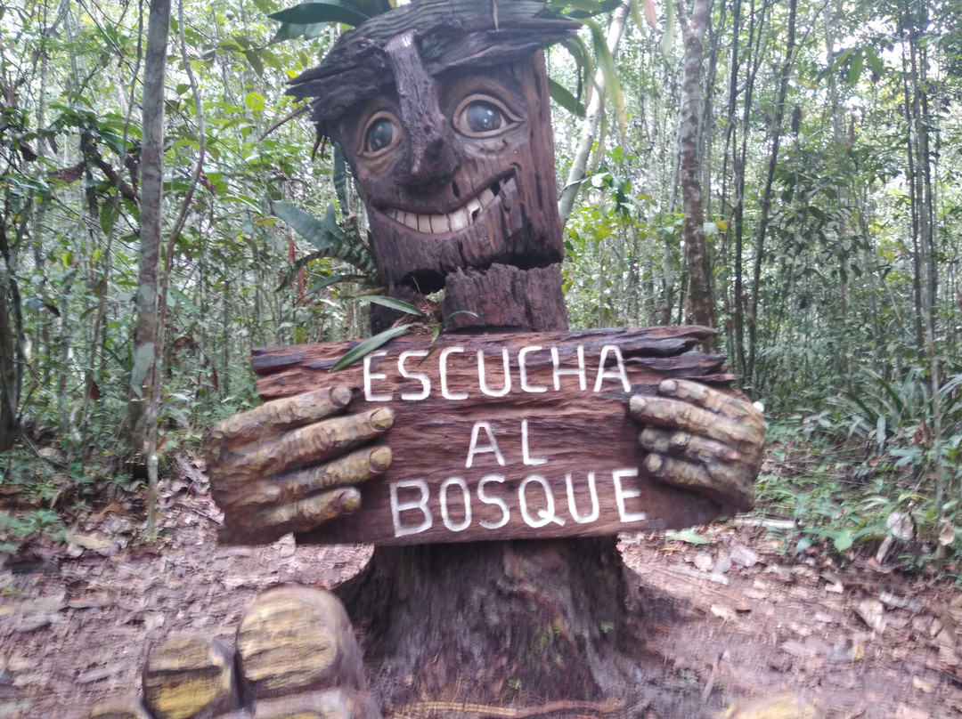 Plaza de Armas-Pucallpa必去景点