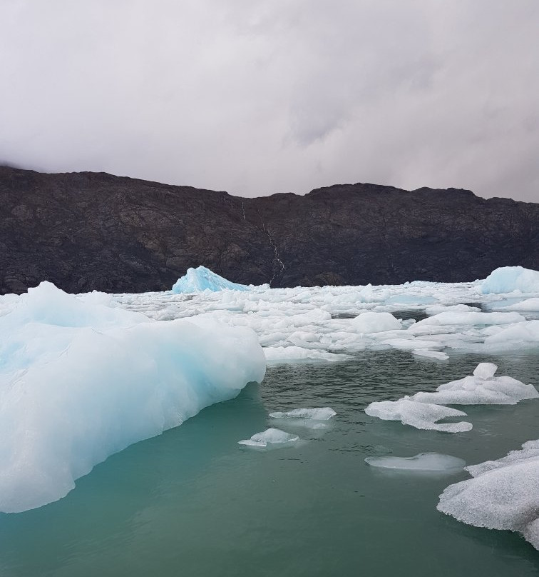 Glacier Jorge Montt景点图片