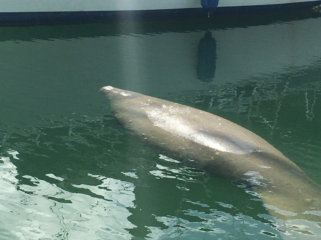 Croisiere Privee Miami-迈阿密必去景点