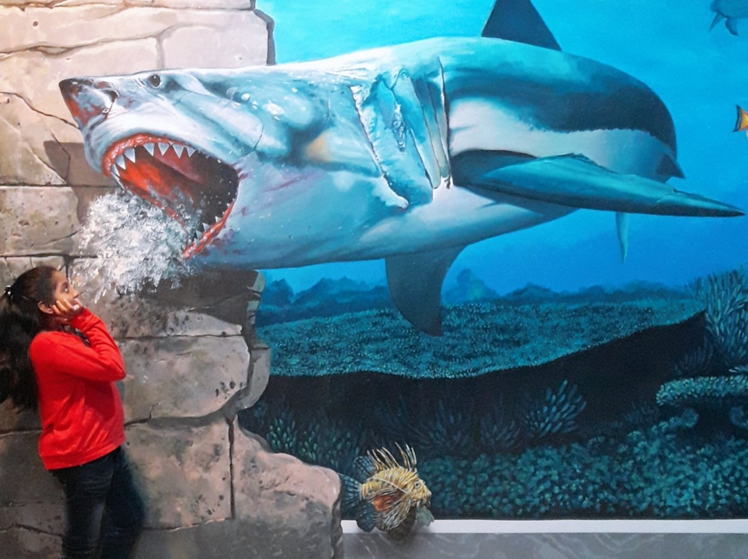 Magic Art 3D Museum-马六甲必去景点