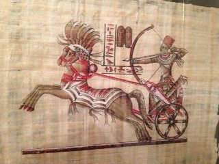 Sharm Papyrus Museum-沙姆沙伊赫必去景点